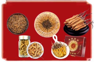 沈阳市沈河烟酒回收各种虫草.jpg